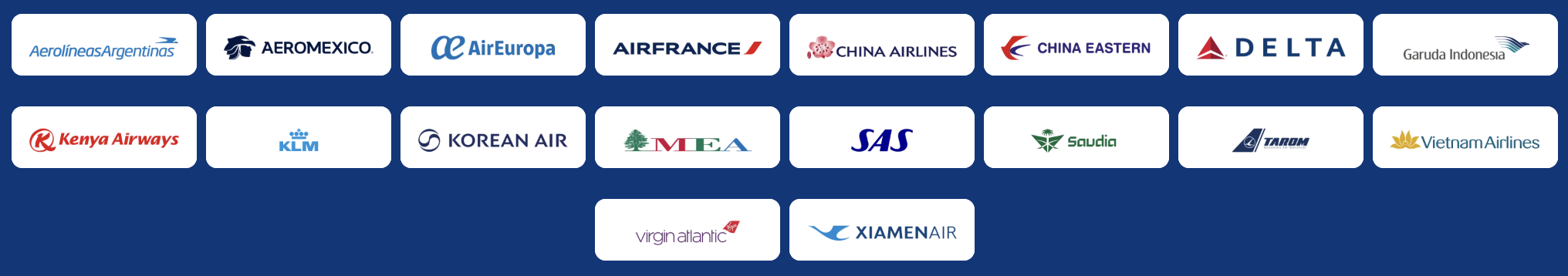 Screenshot of SkyTeam Alliance member airlines.
