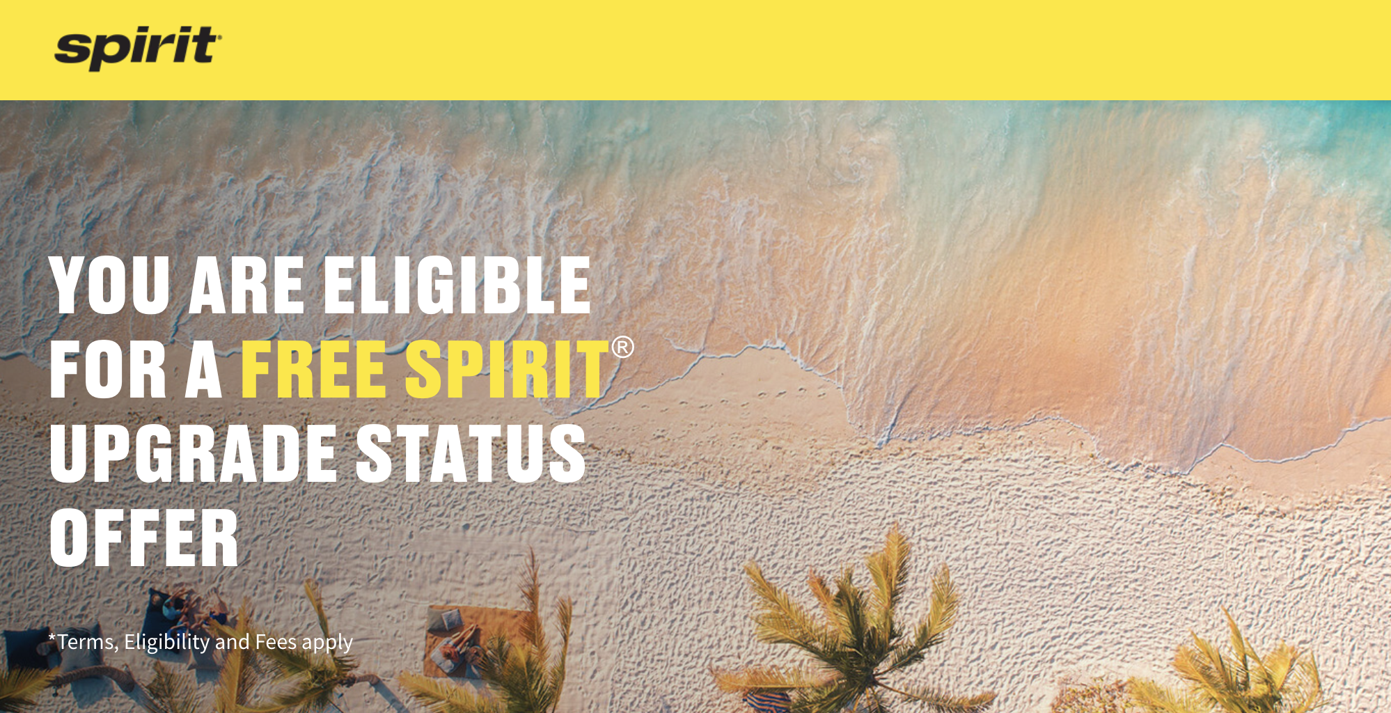 Spirit Airlines status upgrade offer promo landing page.