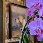 American Express Opens First Sidecar Dining Concept at Las Vegas Airport — Here's a First Look Inside