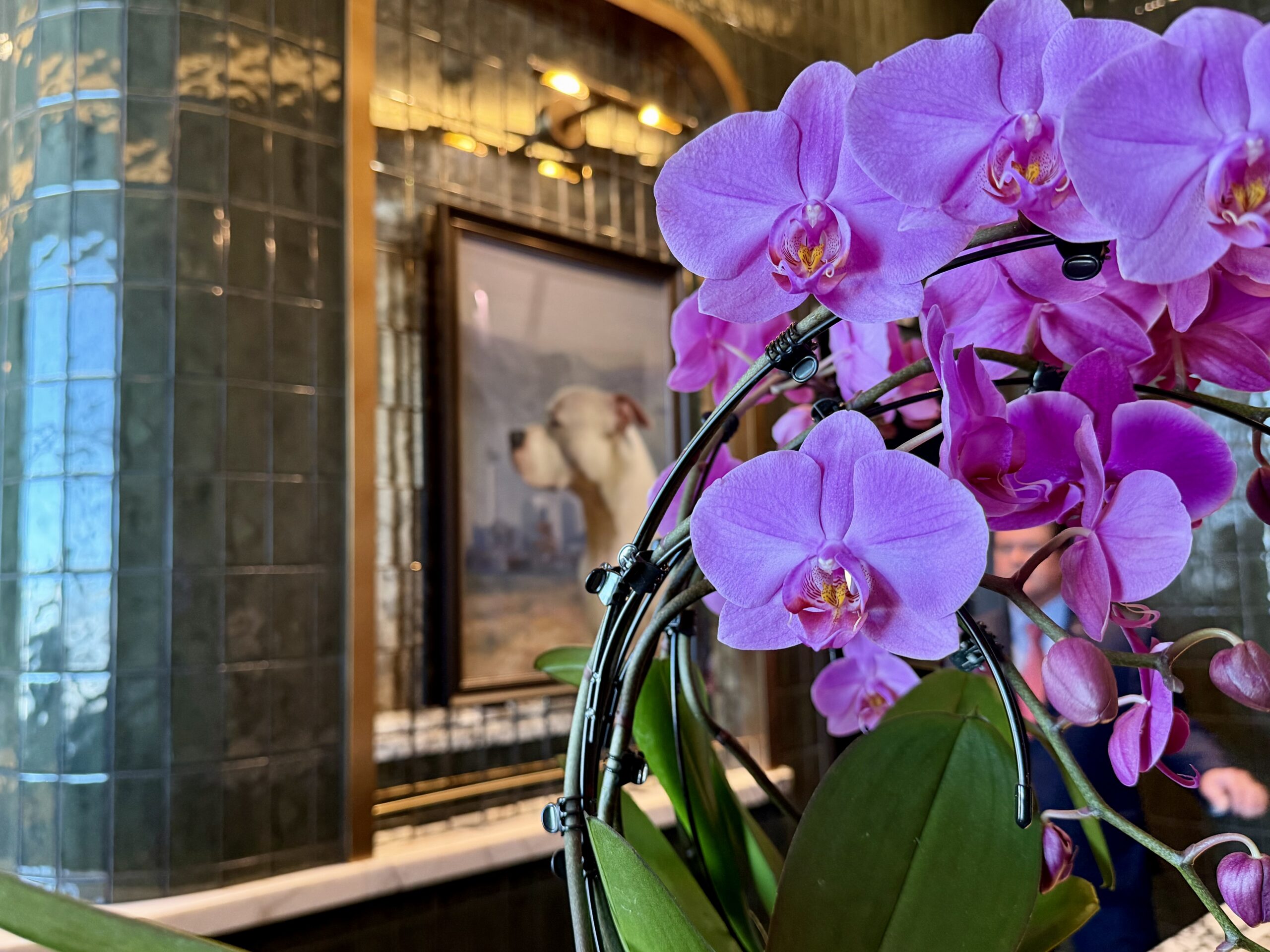 Amex Sidecar Las Vegas orchid.