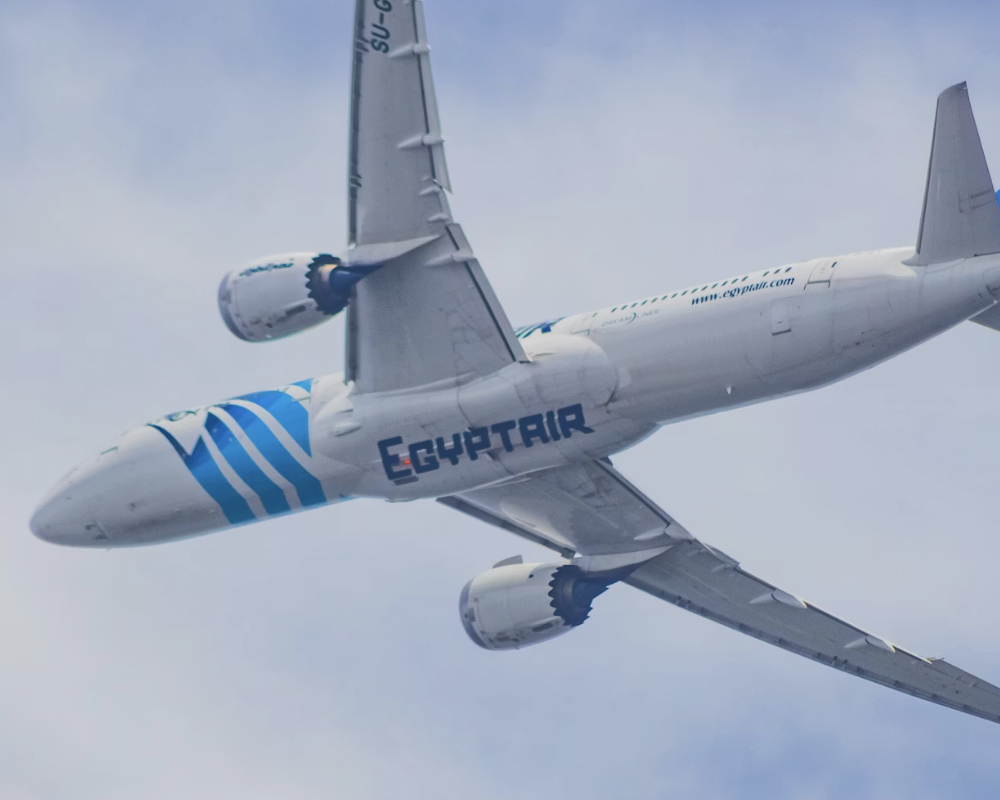 EgyptAir 787 in flight.