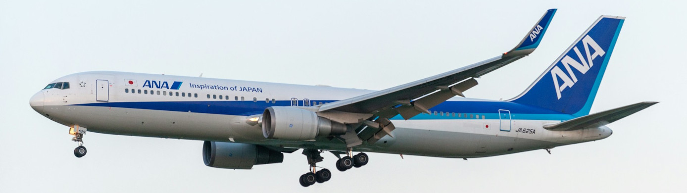 ANA Mileage Club Expiration: Complicated Policy With a Hard Deadline