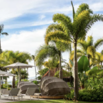 Vacations by Marriott Promotion: Earn 25k Points on a 4+ Night Hawaii or Florida Package