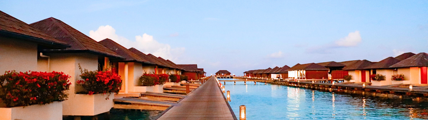 How To Choose the Right Premium Travel Credit Card for You