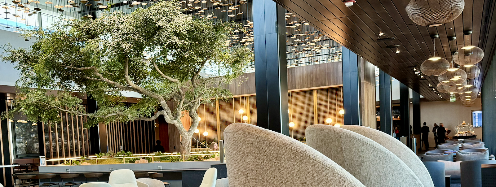 American Express Global Lounge Collection: Lounges You Can Access and Cards That Get You In