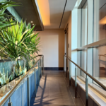 How Amex Platinum Card Members Can Unlock Complimentary Centurion Lounge Guest Access