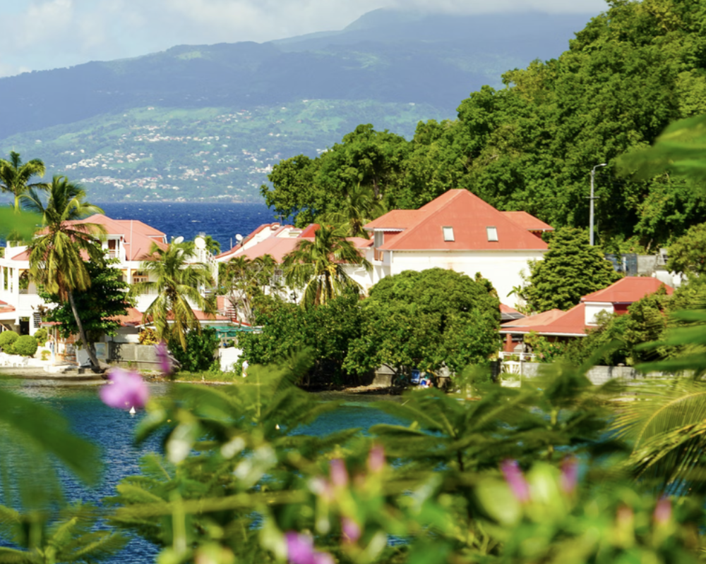 Caribbean island with foliage in the foreground.