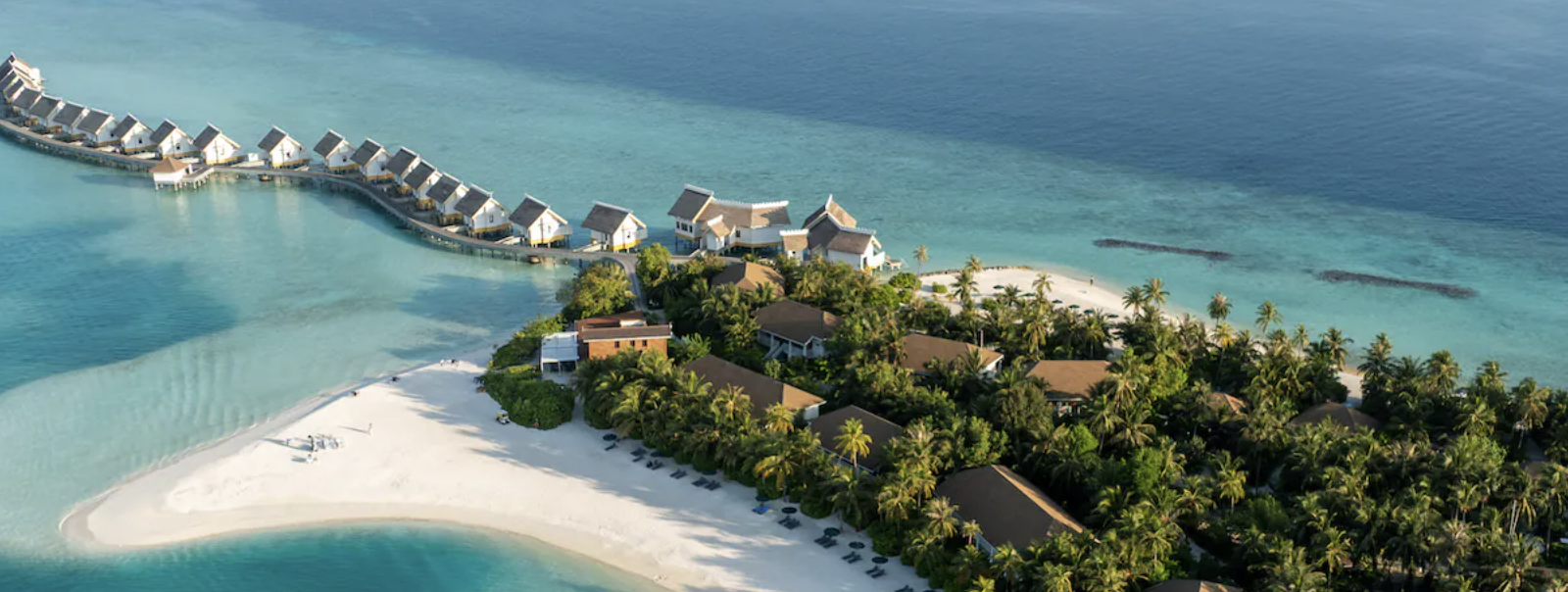 All the Ways To Earn Hilton Honors Points via Credit Cards