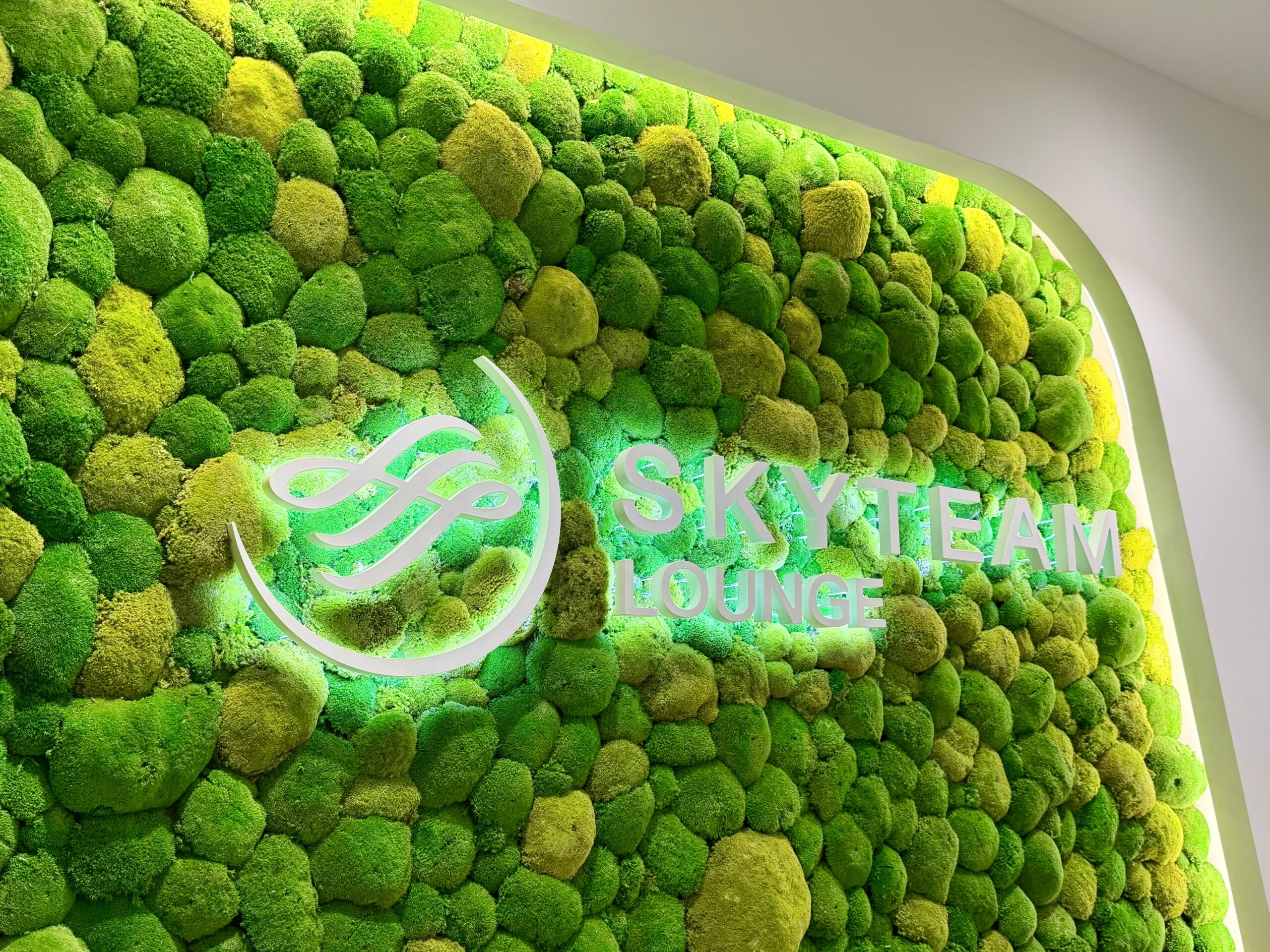 SkyTeam Lounge FRA greenery.