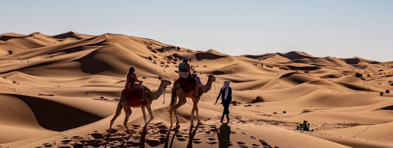 Wyndham Travel Bundles: Book Tours and Activities to Quickly Earn Free Hotel Nights