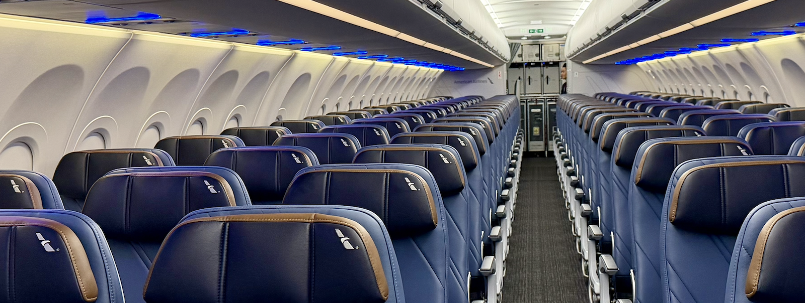 Earn 10,000 American Airlines Miles by Enrolling in AAdvantage Business With This Promo Code