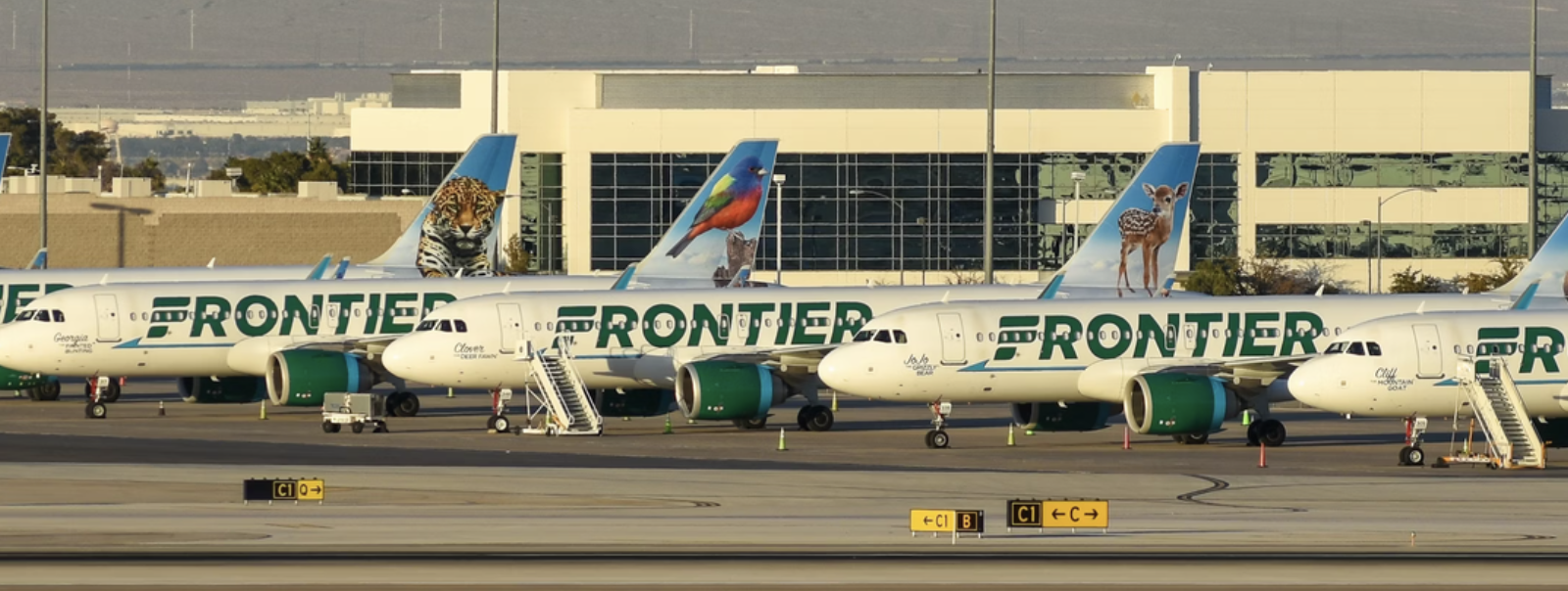 Frontier Airlines Promotions: Earn up to 20,000 Bonus Miles and Big Savings on Discount Den Subscriptions