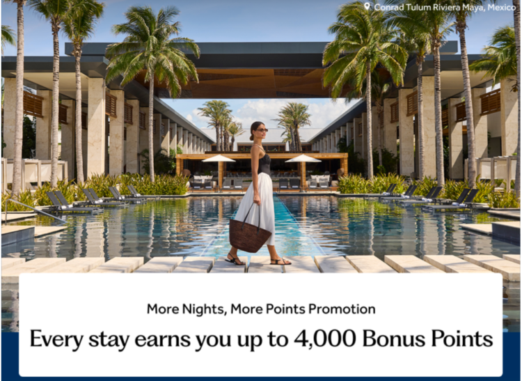 Hilton More Nights More Points banner