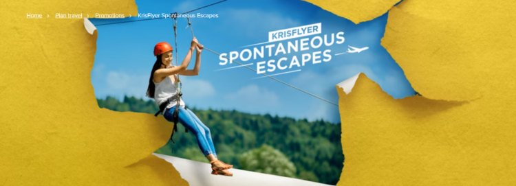 Banner image for Singapore Spontaneous Escapes