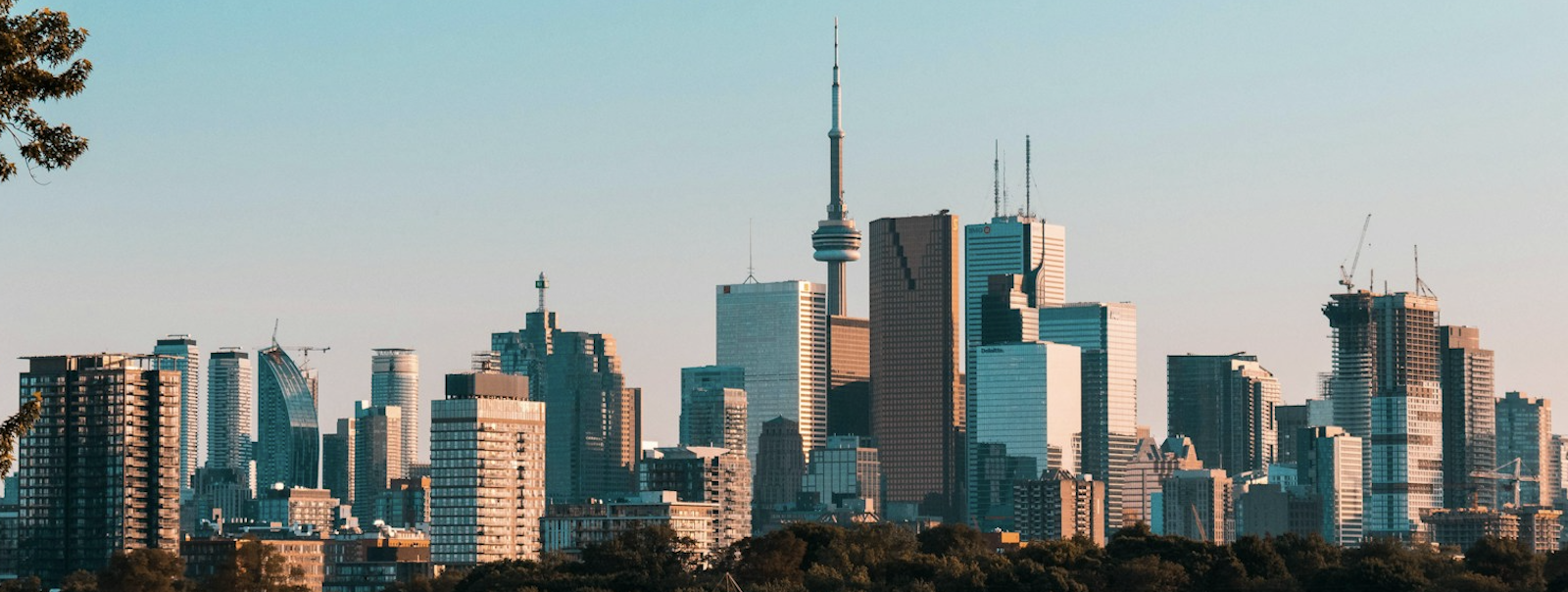 Score a 25% Bonus on Transfers to Air Canada Aeroplan With This Rove Transfer Bonus