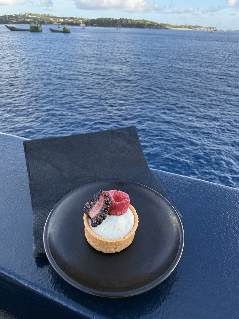 A small pastry with berries on top on the ritz carlton evrima