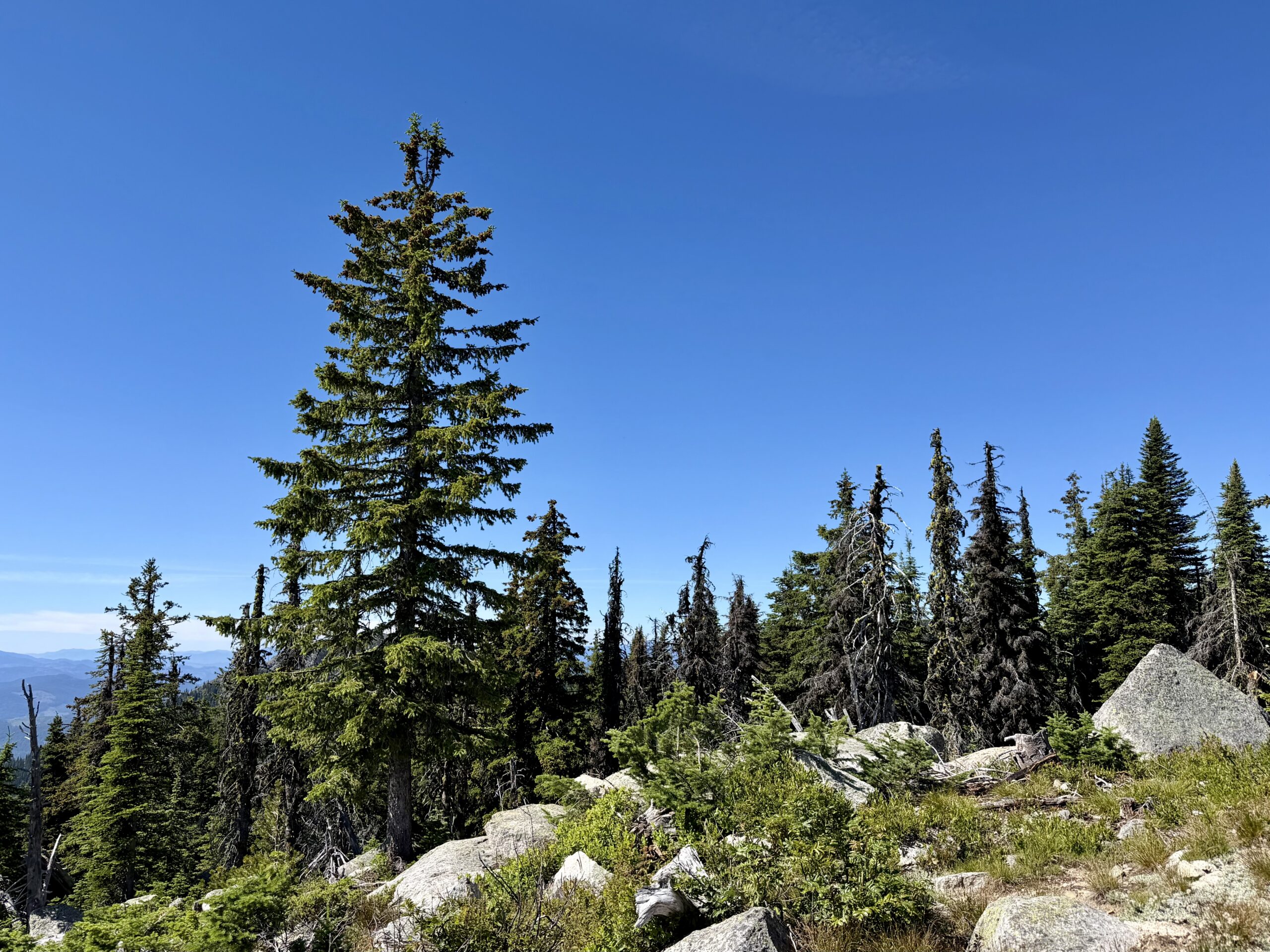 Landscape at RED Mountain Resort.