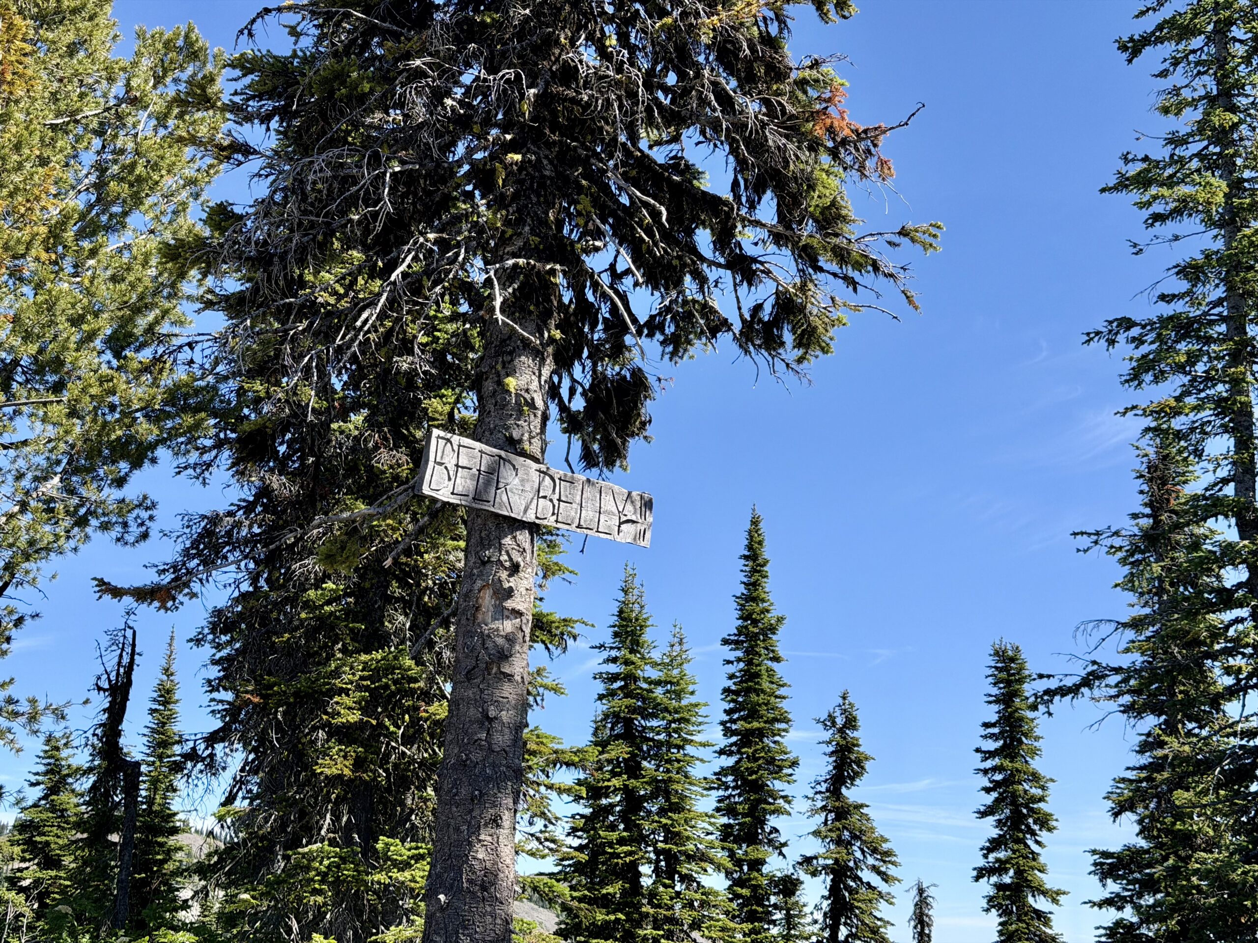 Beer Belly run sign at RED Mountain Resort..