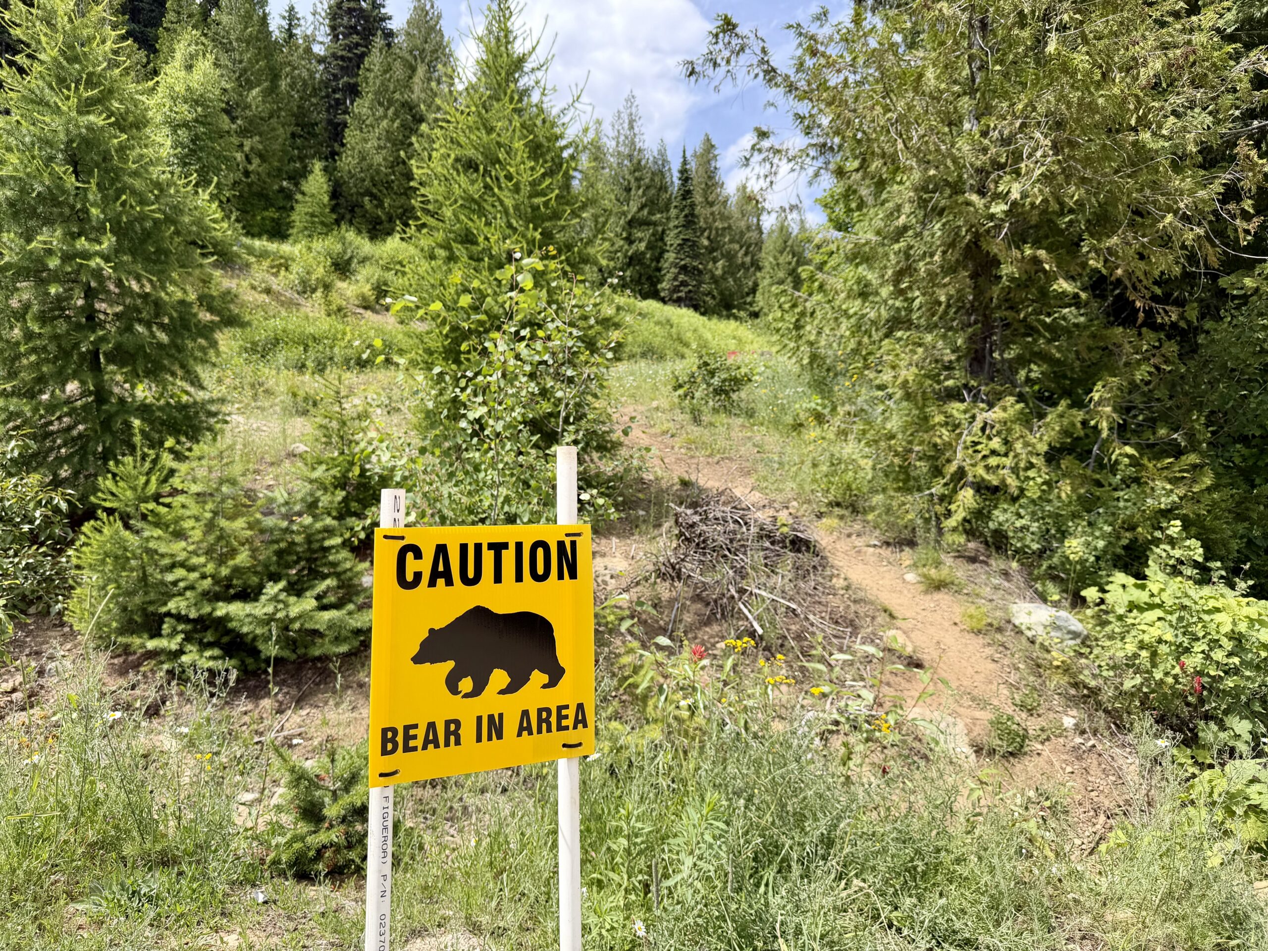 Bear sign at RED Mountain Resort.